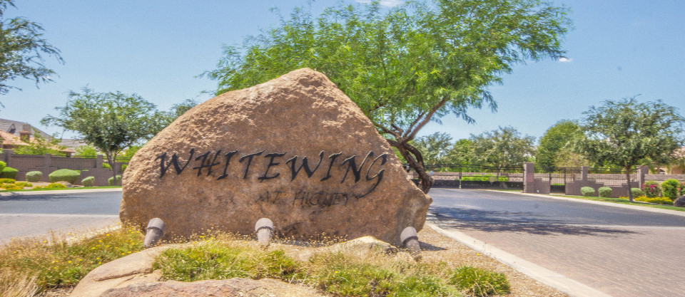 Whitewing at Higley Homes for Sale in Gilbert Arizona 85297 – Whitewing at Higley Real Estate in Gilbert Arizona